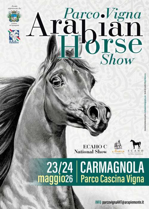 Arabian horse show 2026