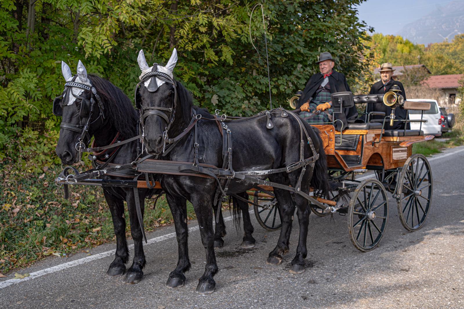 Carrozza